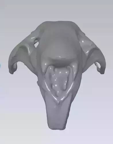 MakeIT  Rat Skull 3D Model 