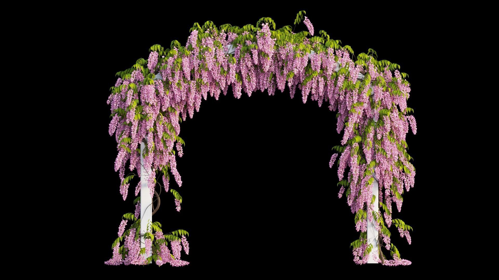Wisterial tree 07 3D model_8