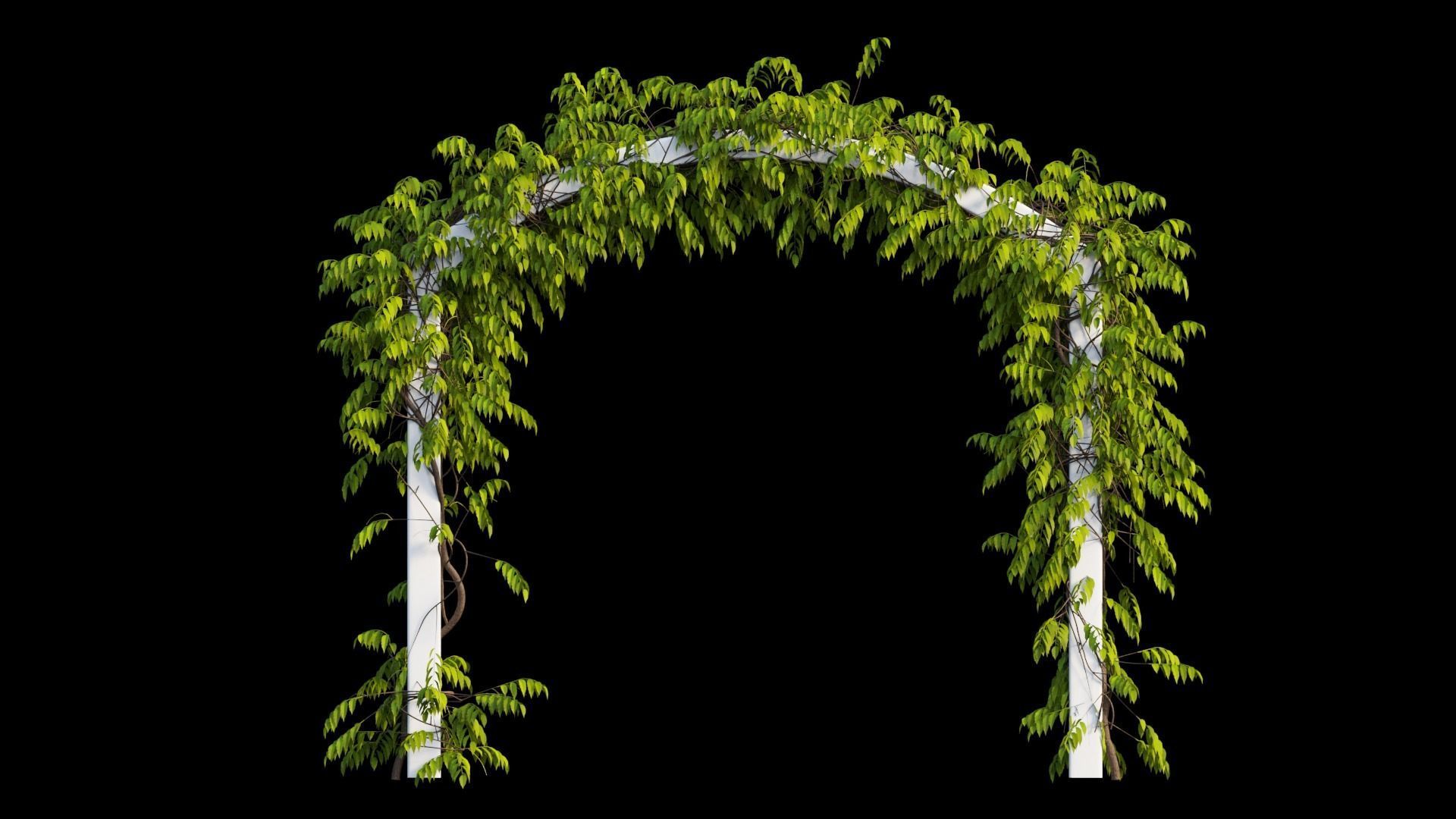 Wisterial tree 07 3D model_4