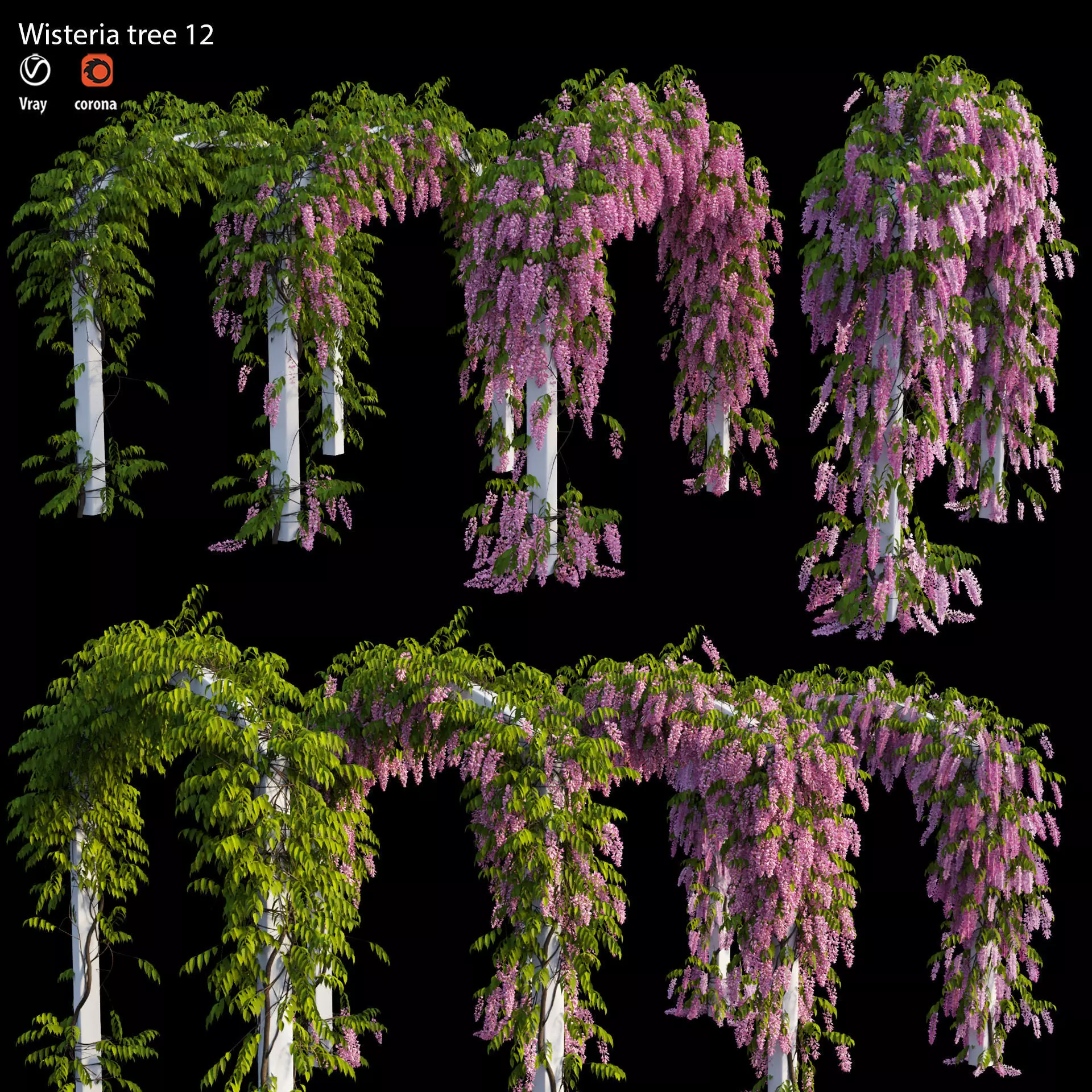 Wisterial tree 07 3D model_0