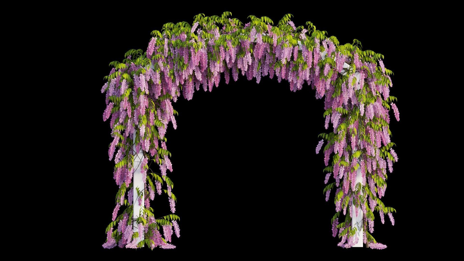 Wisterial tree 07 3D model_1