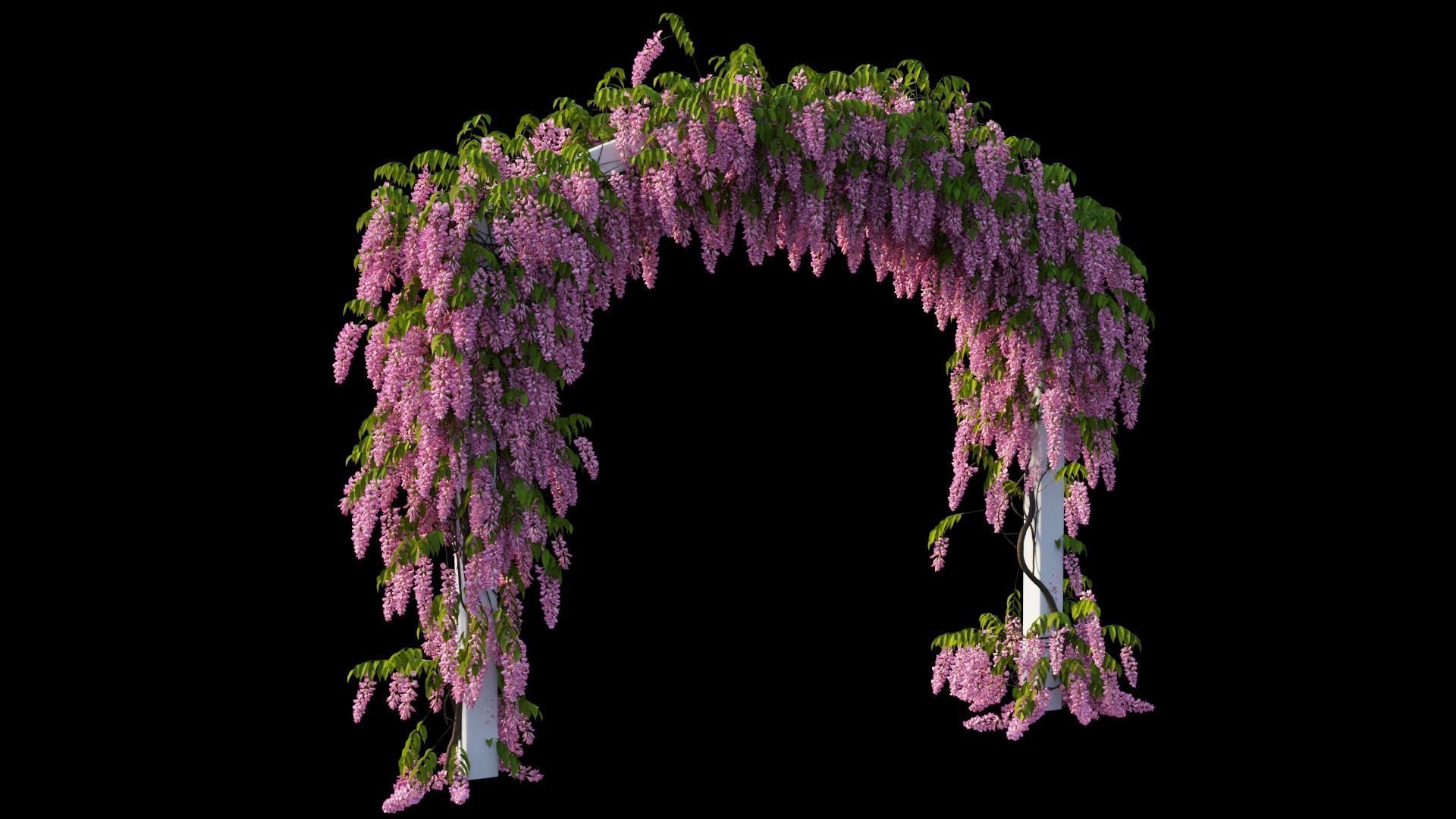 Wisterial tree 07 3D model_9