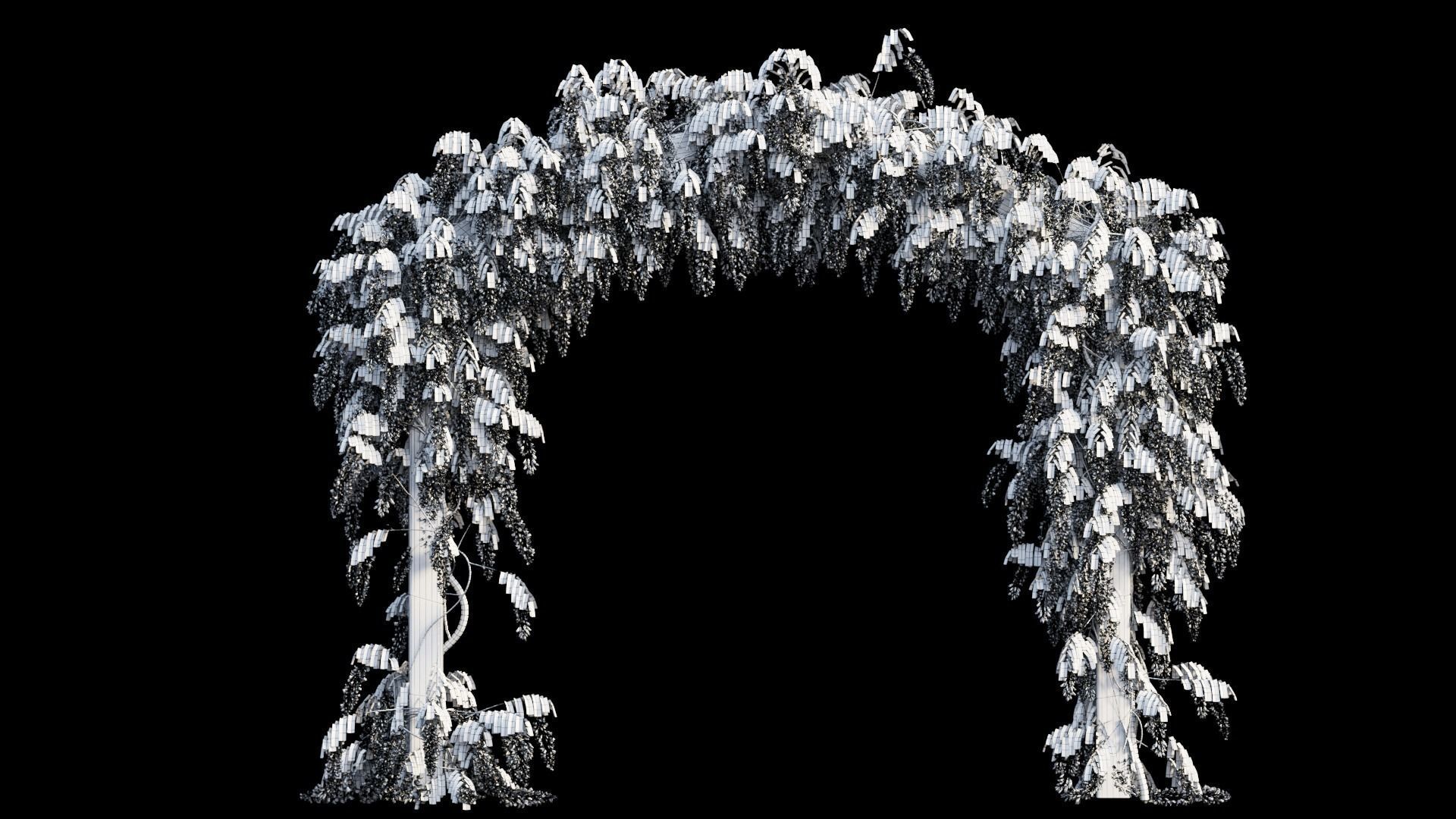 Wisterial tree 07 3D model_11