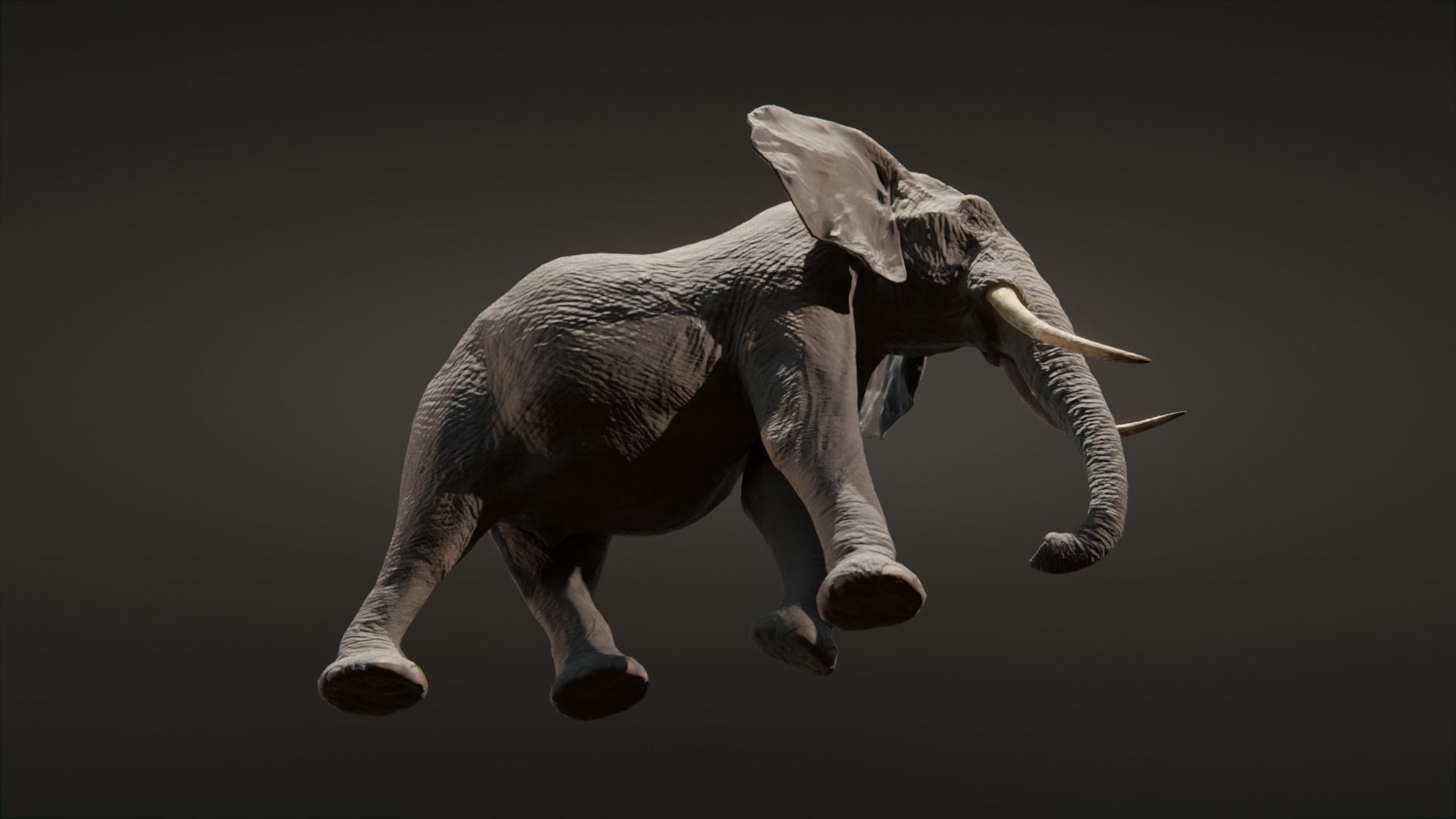 African elephant  Low-poly 3D model_10