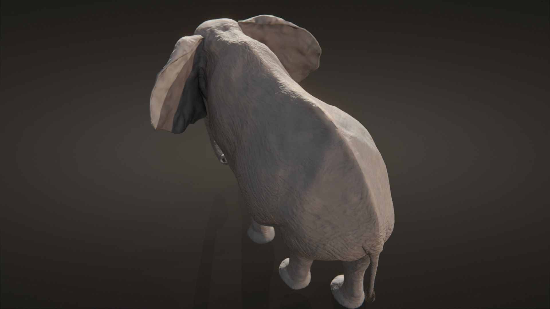 African elephant  Low-poly 3D model_6