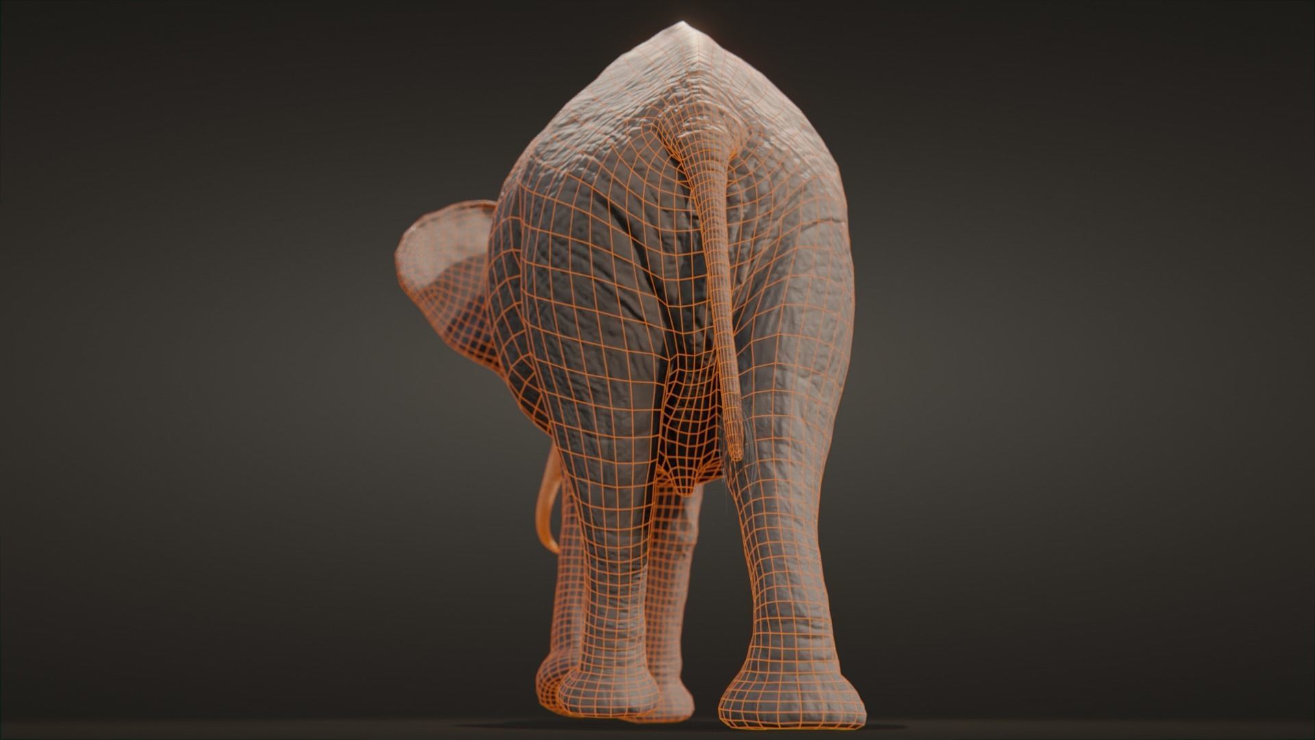 African elephant  Low-poly 3D model_22