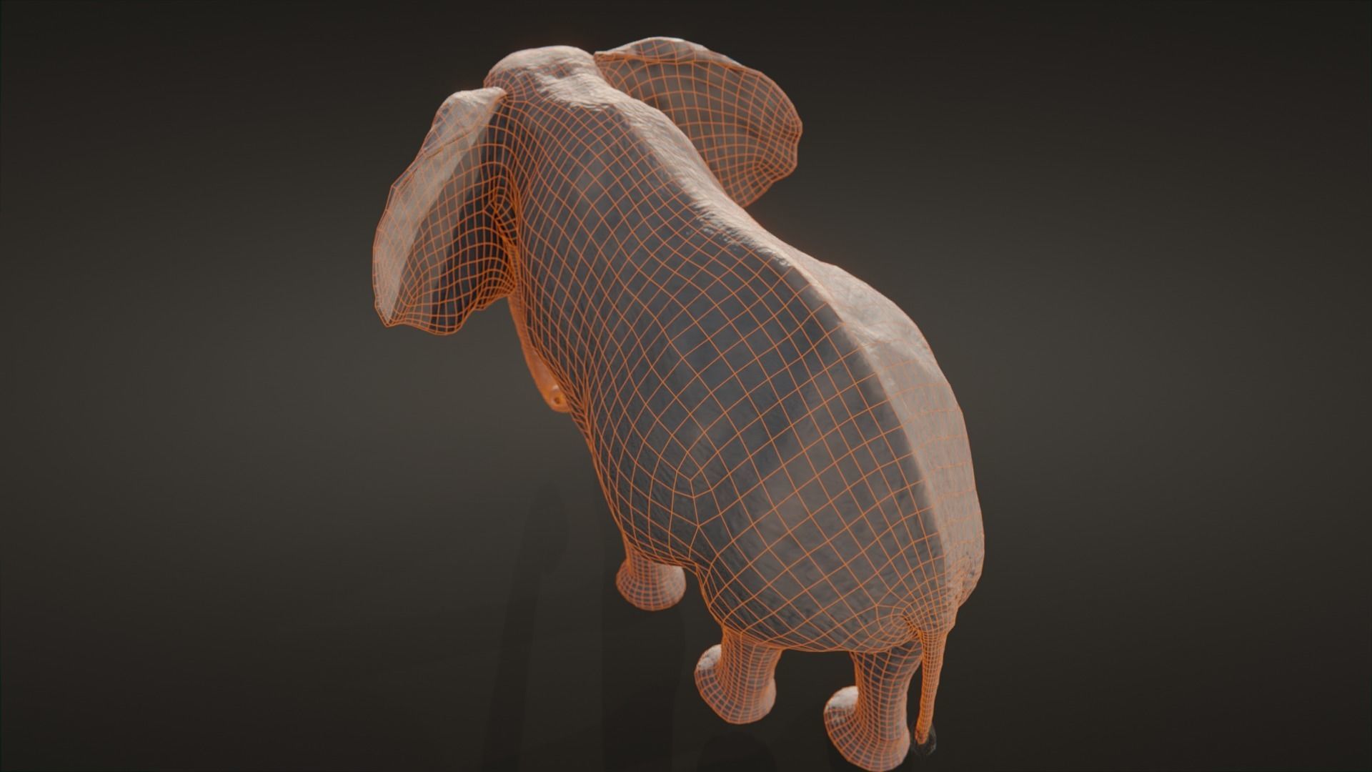 African elephant  Low-poly 3D model_18
