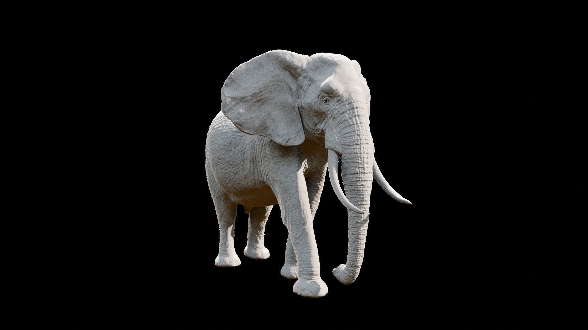 African elephant  Low-poly 3D model_27