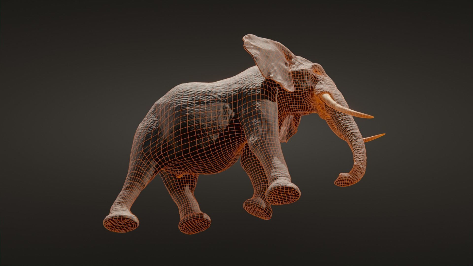 African elephant  Low-poly 3D model_23