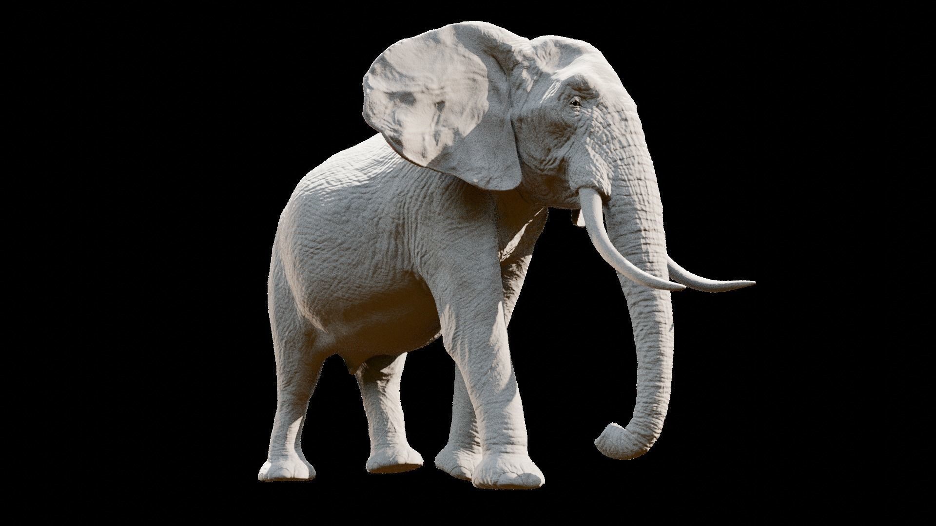 African elephant  Low-poly 3D model_35
