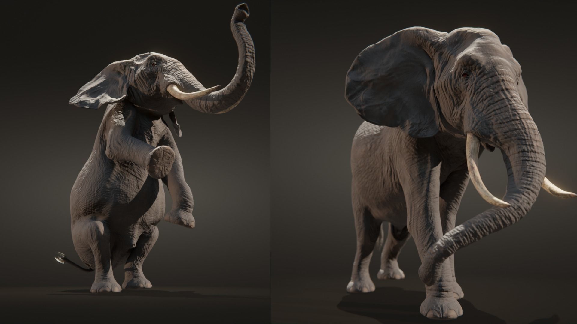 African elephant  Low-poly 3D model_12