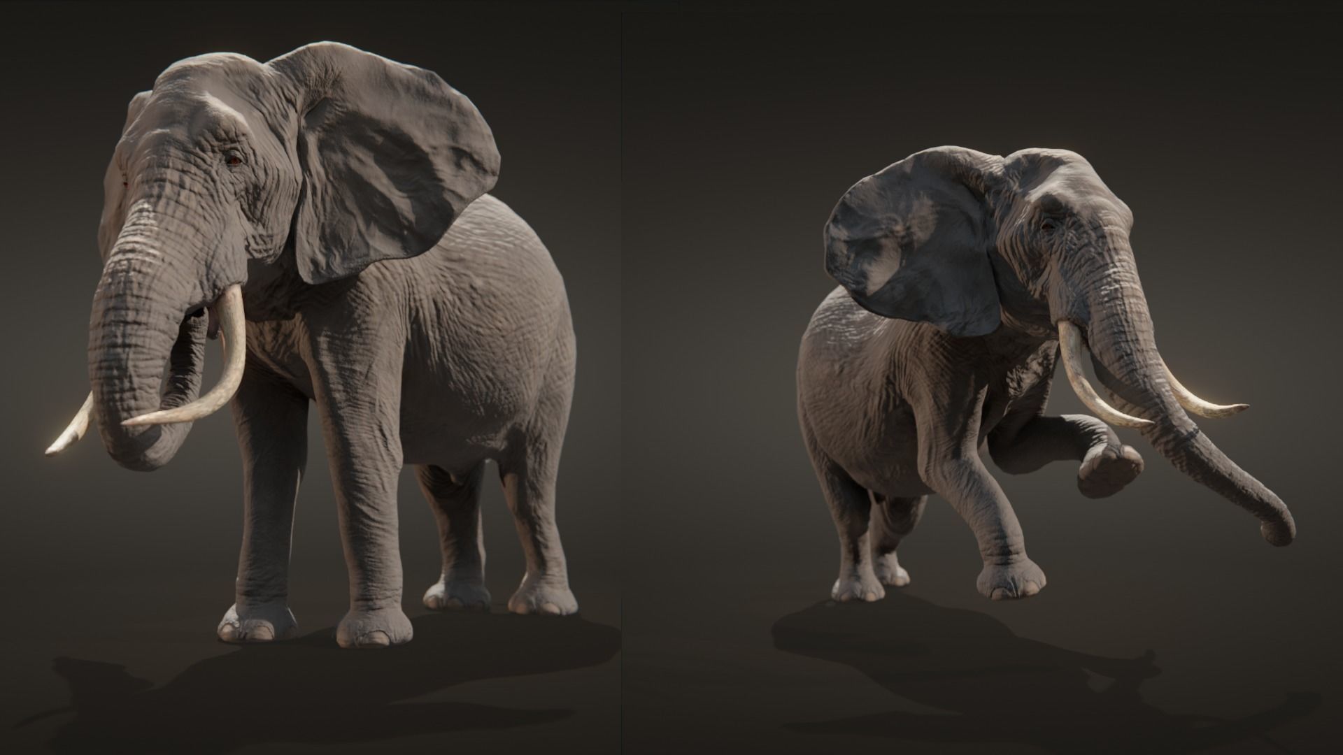 African elephant  Low-poly 3D model_13