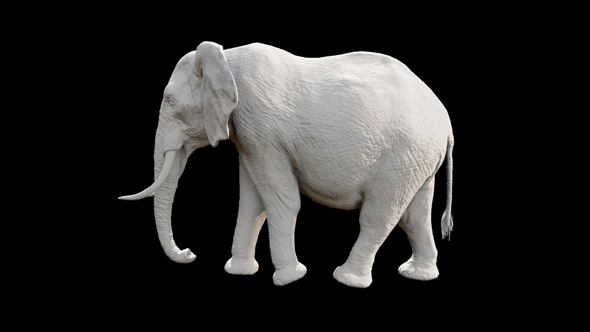 African elephant  Low-poly 3D model_34
