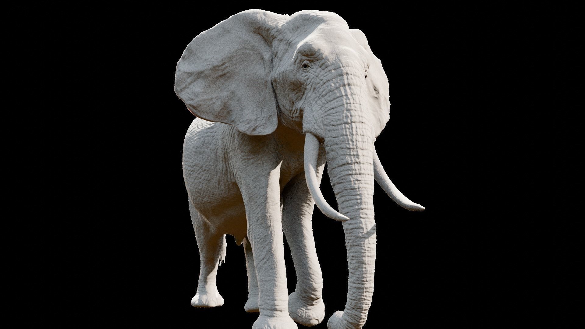 African elephant  Low-poly 3D model_37