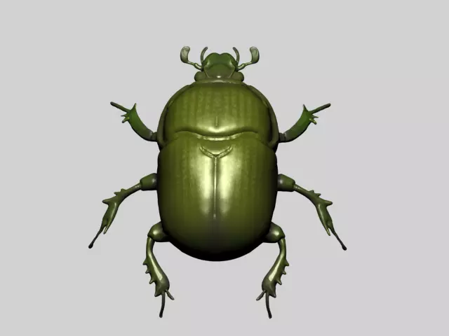 Beetle 3D model_0