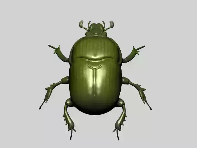 Beetle 3D model