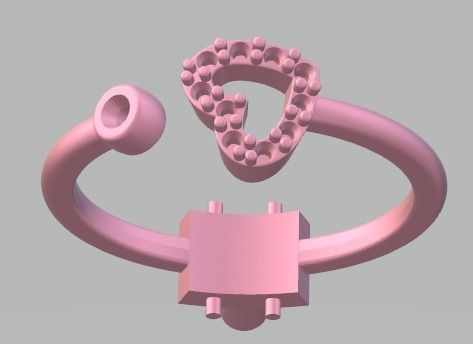 rings -CG219 3D print model_3