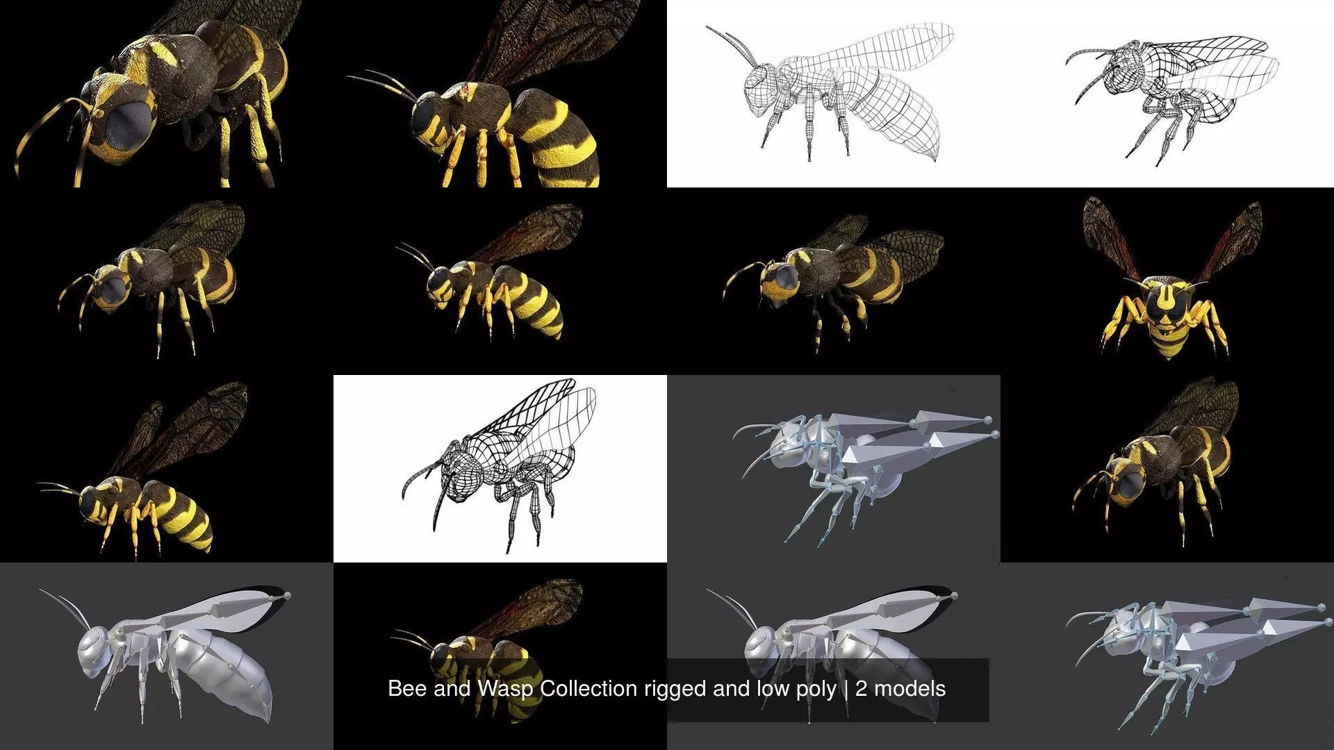 Bee and Wasp Collection rigged and low poly _0