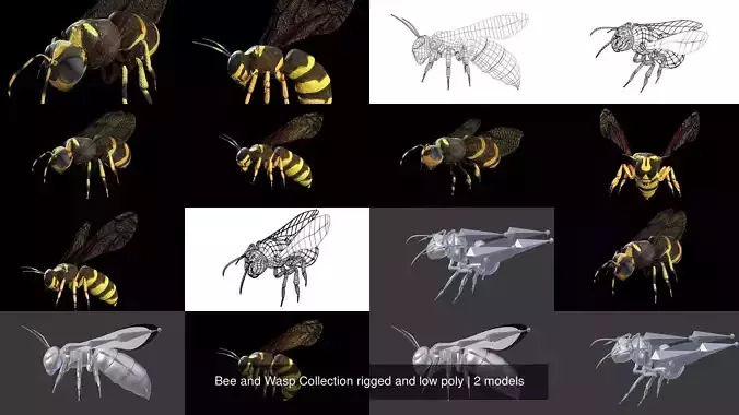 Bee and Wasp Collection rigged and low poly 