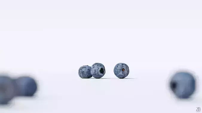 Blueberry 3D model