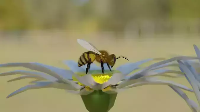 Bee photorealistic 3D model rigged animated Low-poly 3D model