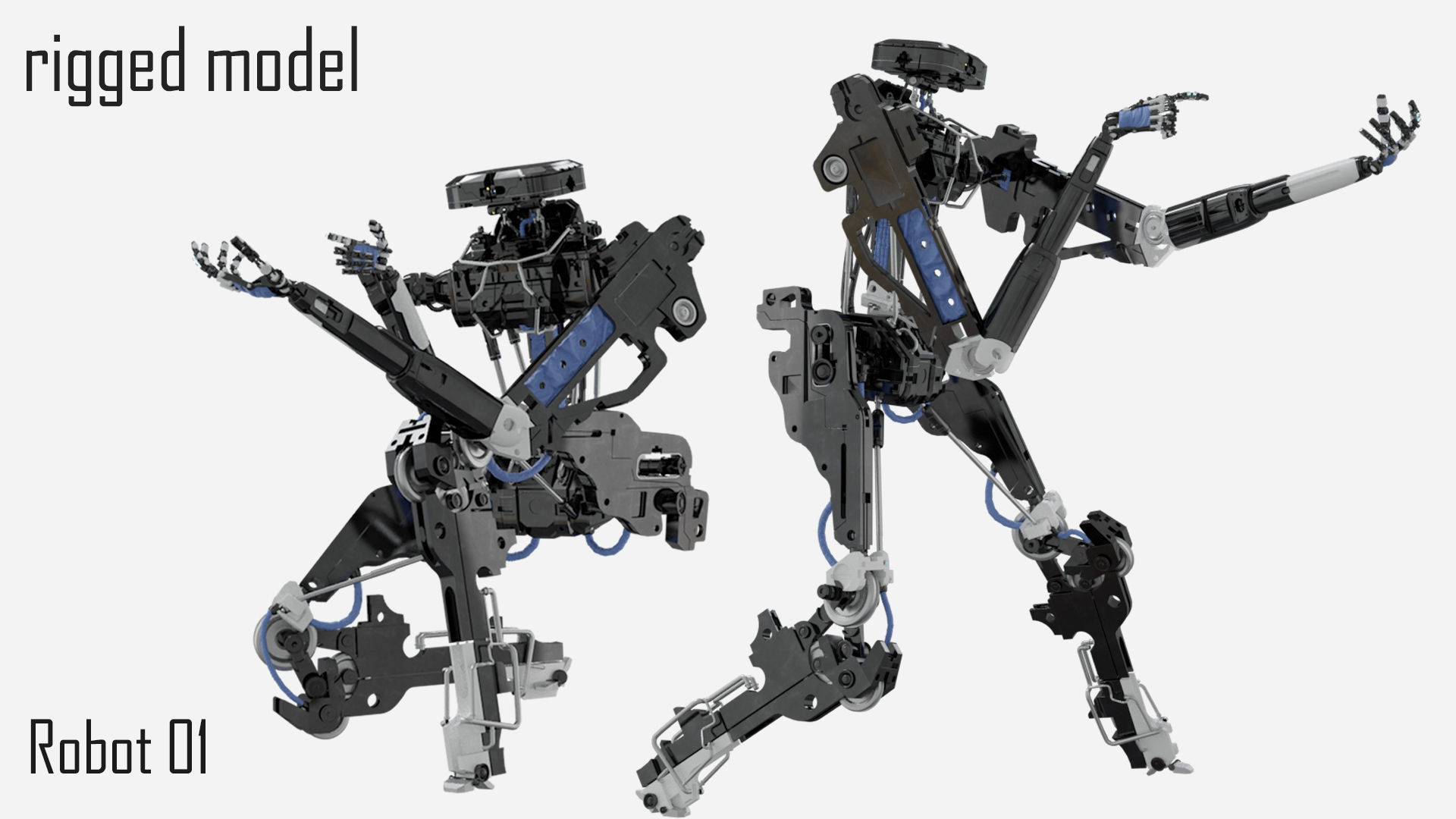 robot 01 3D model_1