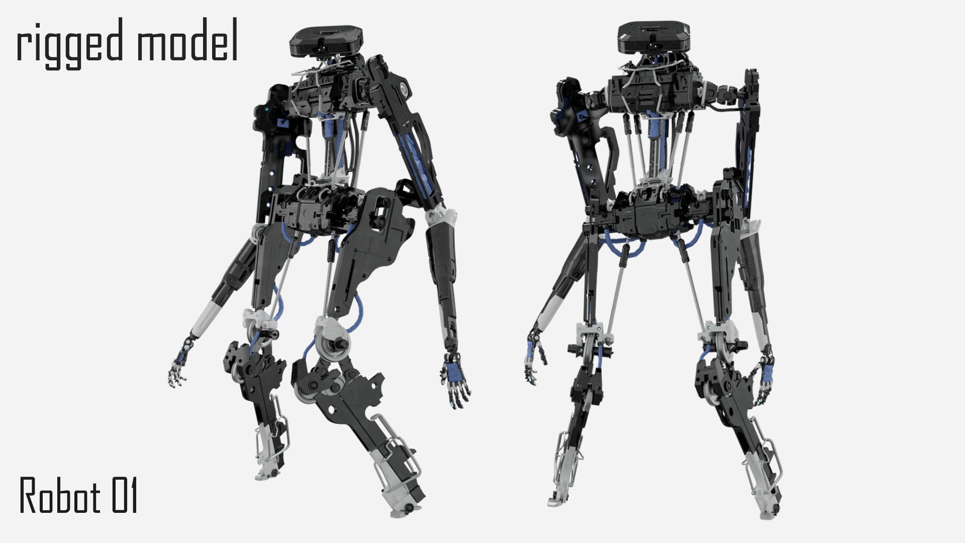robot 01 3D model_4