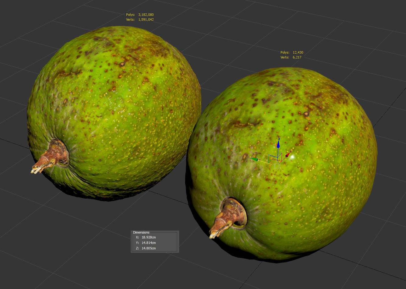 Avocado 3D model_8