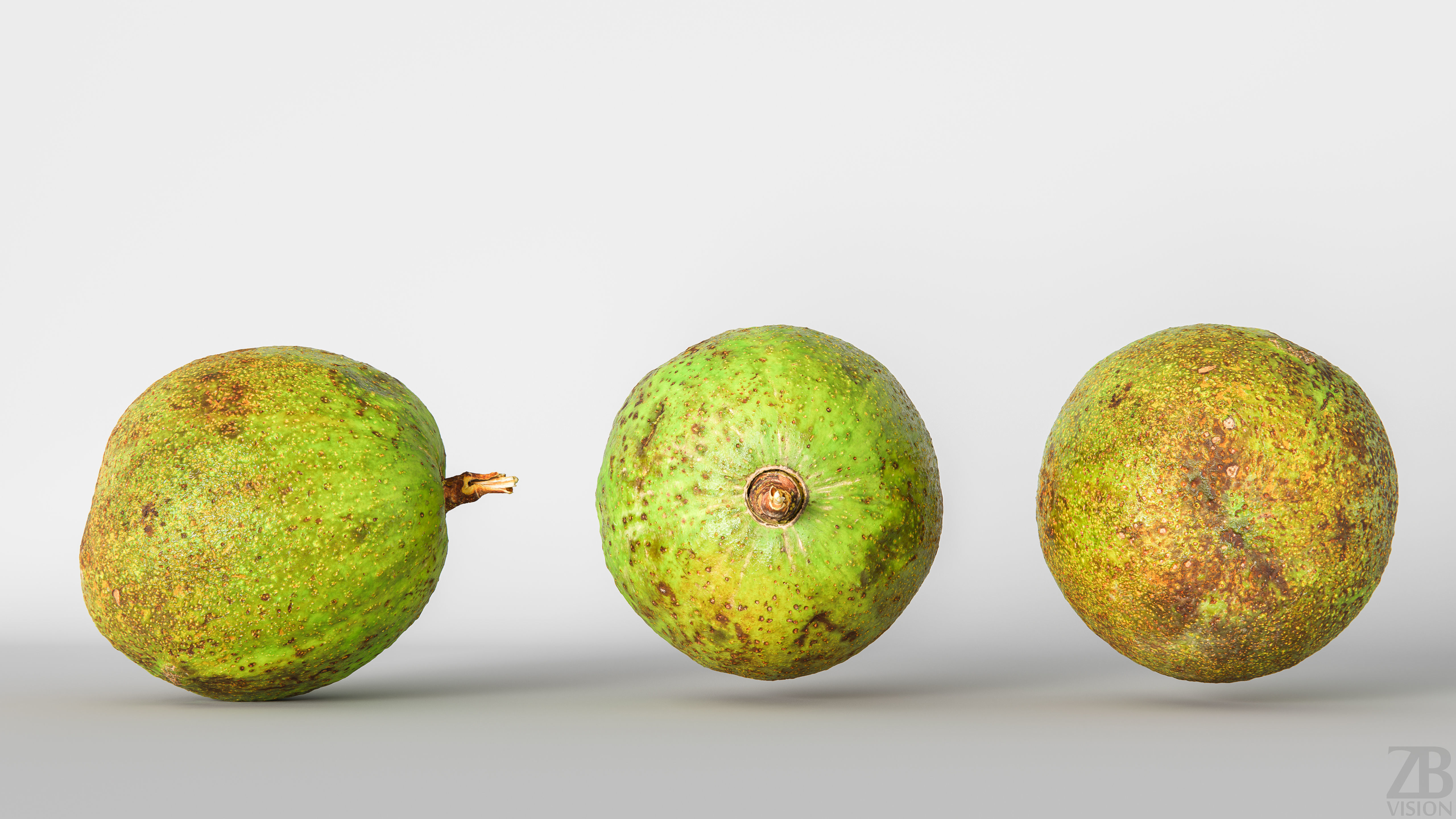 Avocado 3D model_3