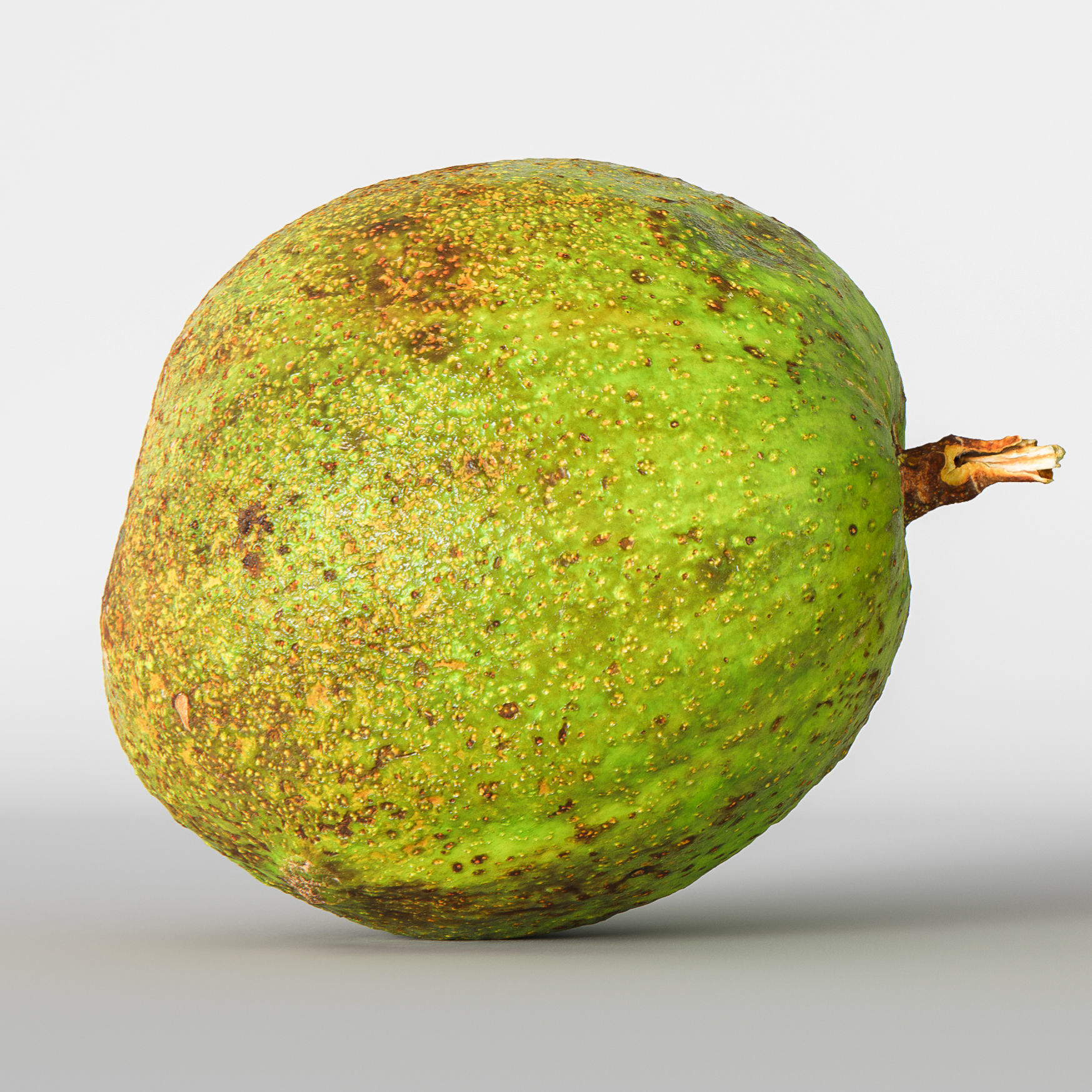 Avocado 3D model_4