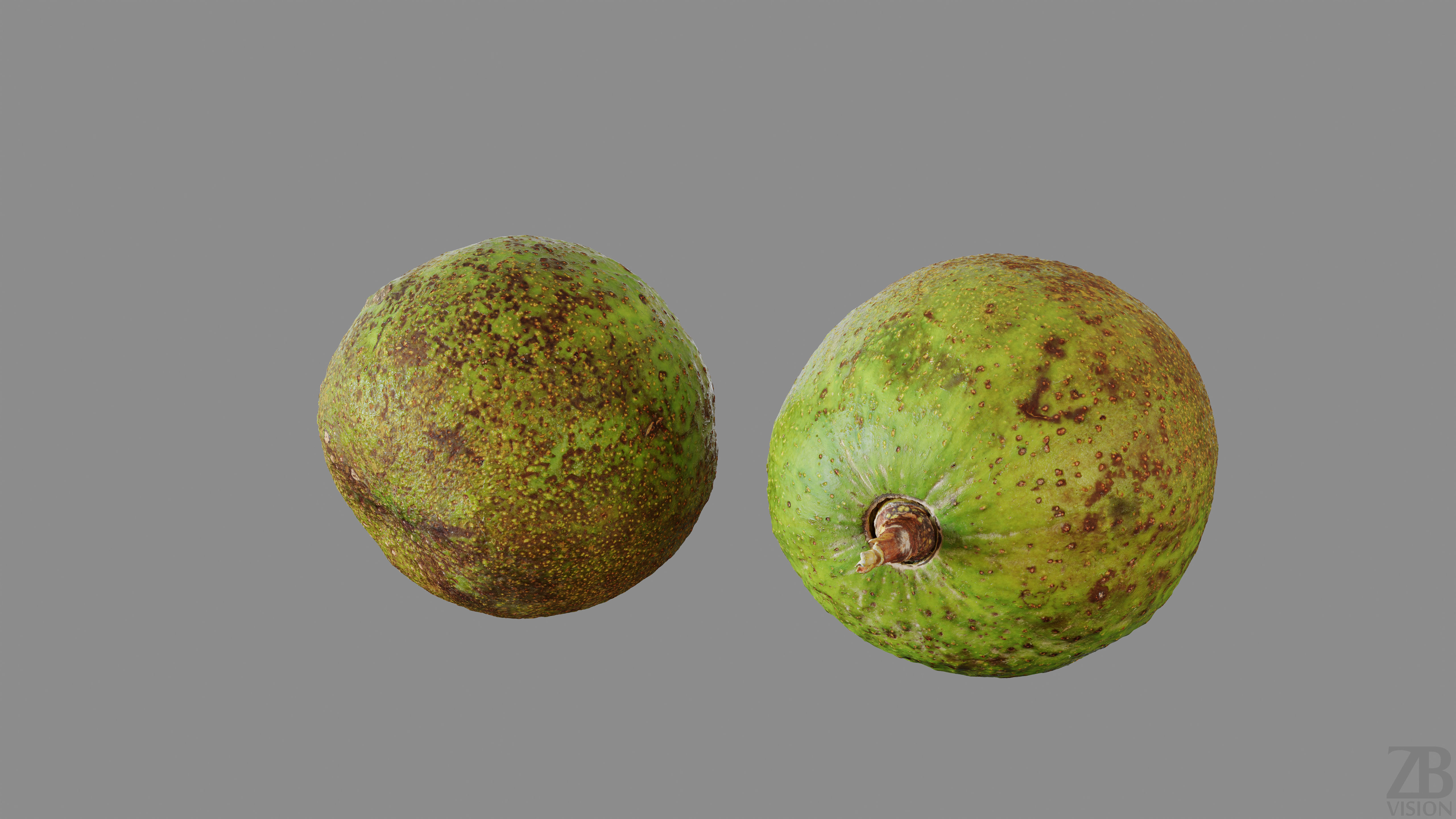 Avocado 3D model_7