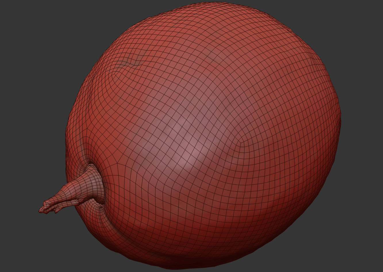 Avocado 3D model_9