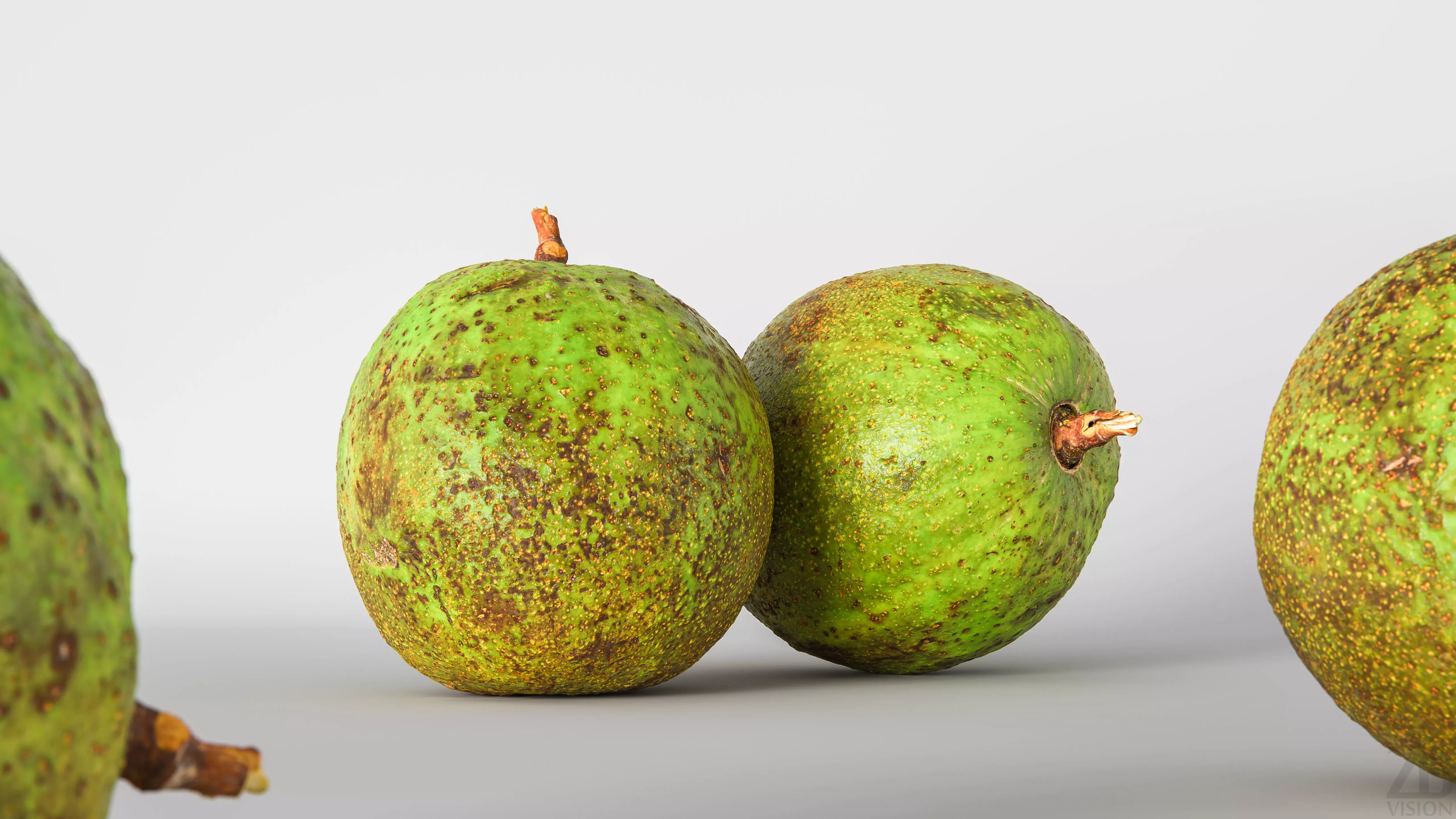 Avocado 3D model_0