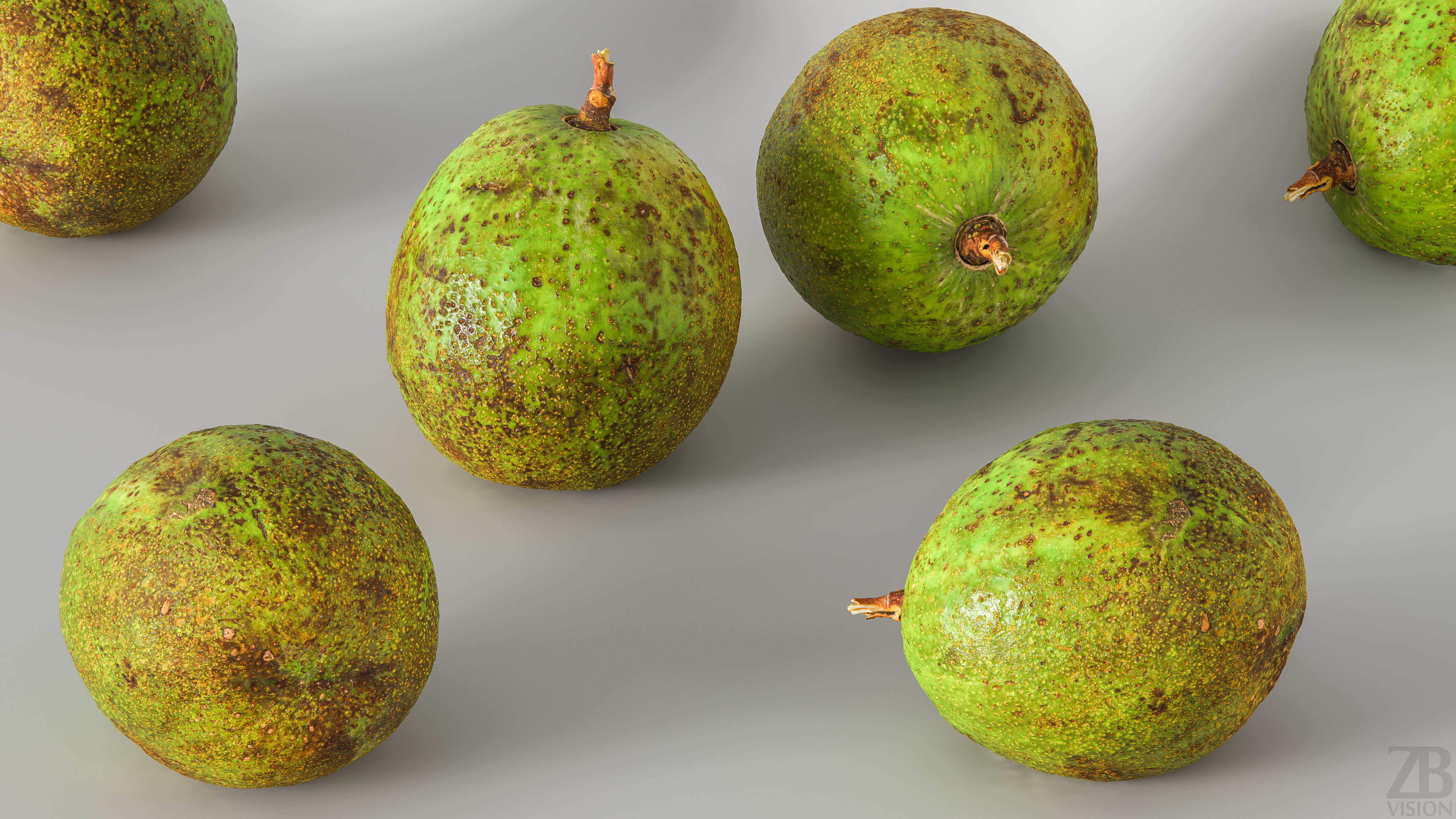Avocado 3D model_1
