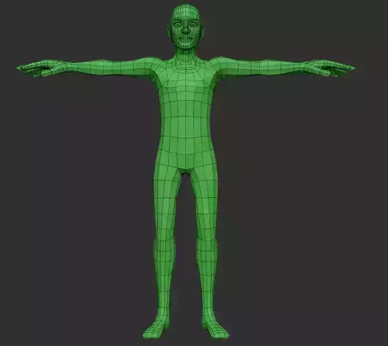Male Body Base - Wireframe Low-poly 3D model