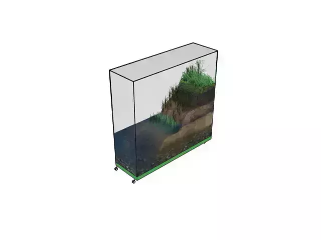 diorama glass aquarium with plants in it Free 3D model