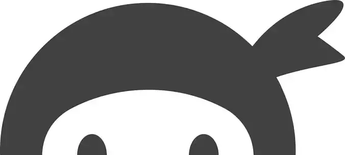 Ninja Model penguin icon