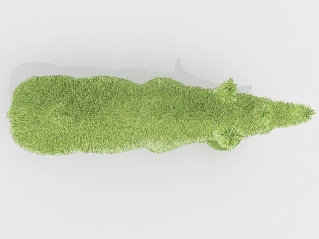 Rhinoceros Topiary Shrub Free 3D model_4