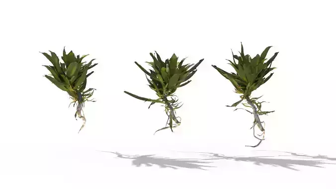 3D Plant Assets