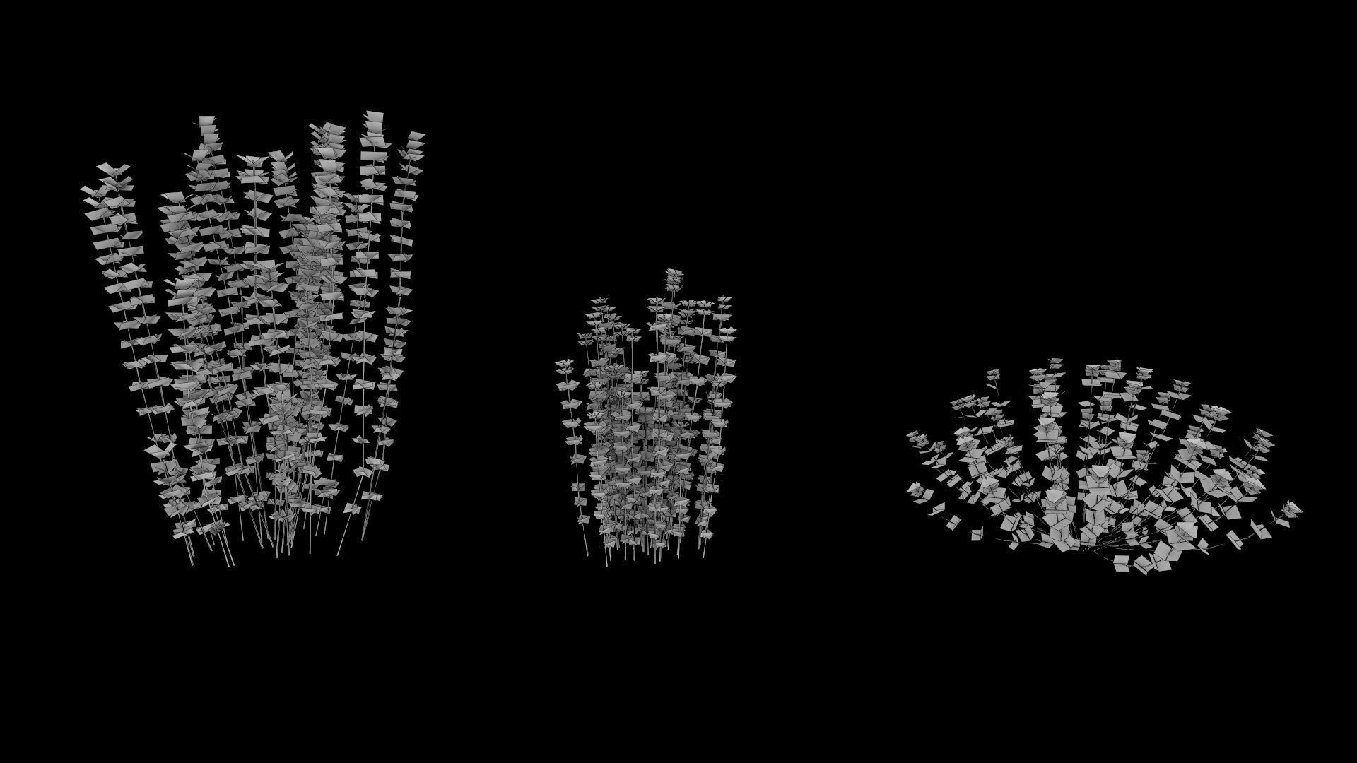 Lotus hirsutus Brimstone lod2 3D model_4