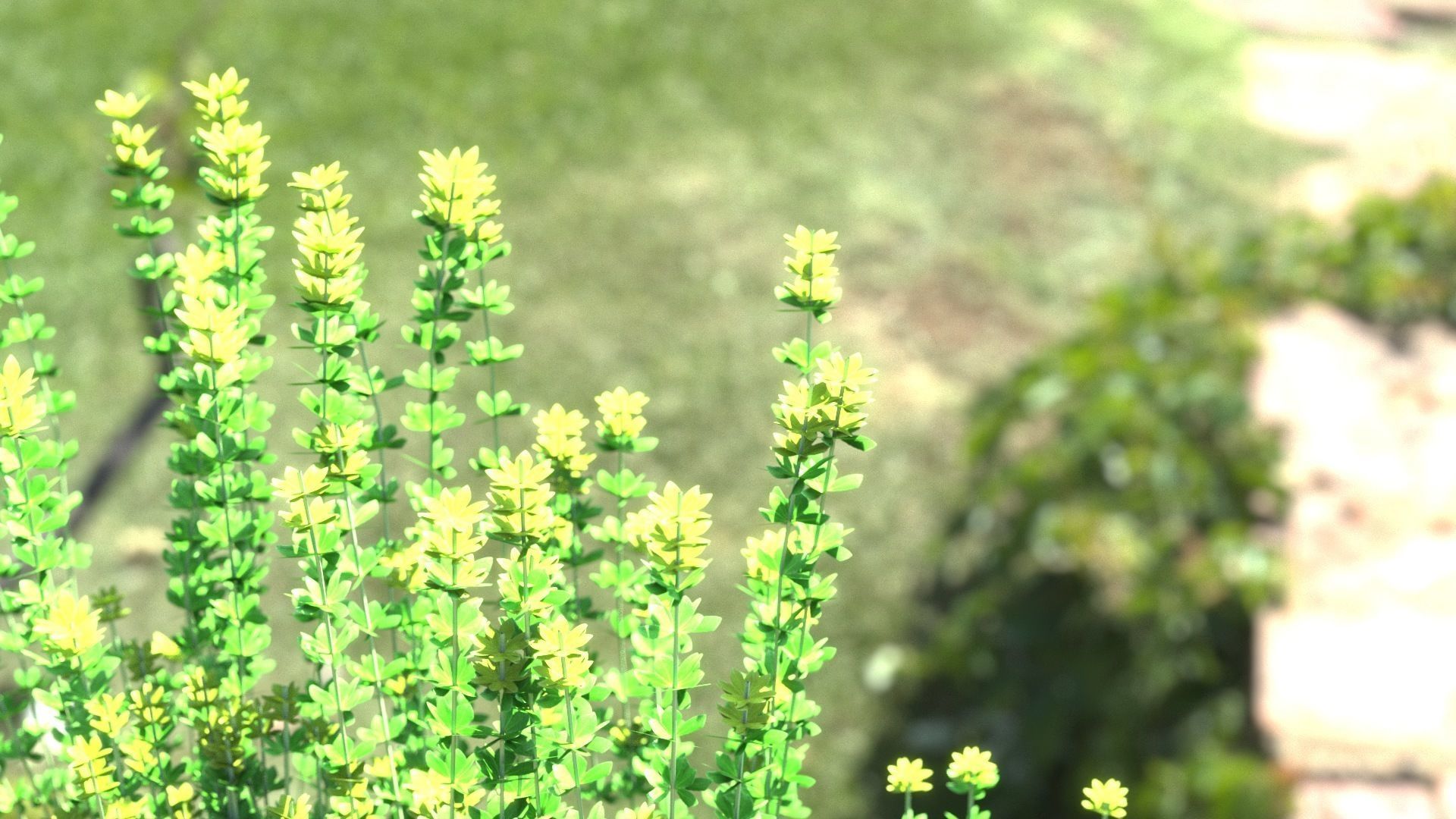 Lotus hirsutus Brimstone lod2 3D model_6