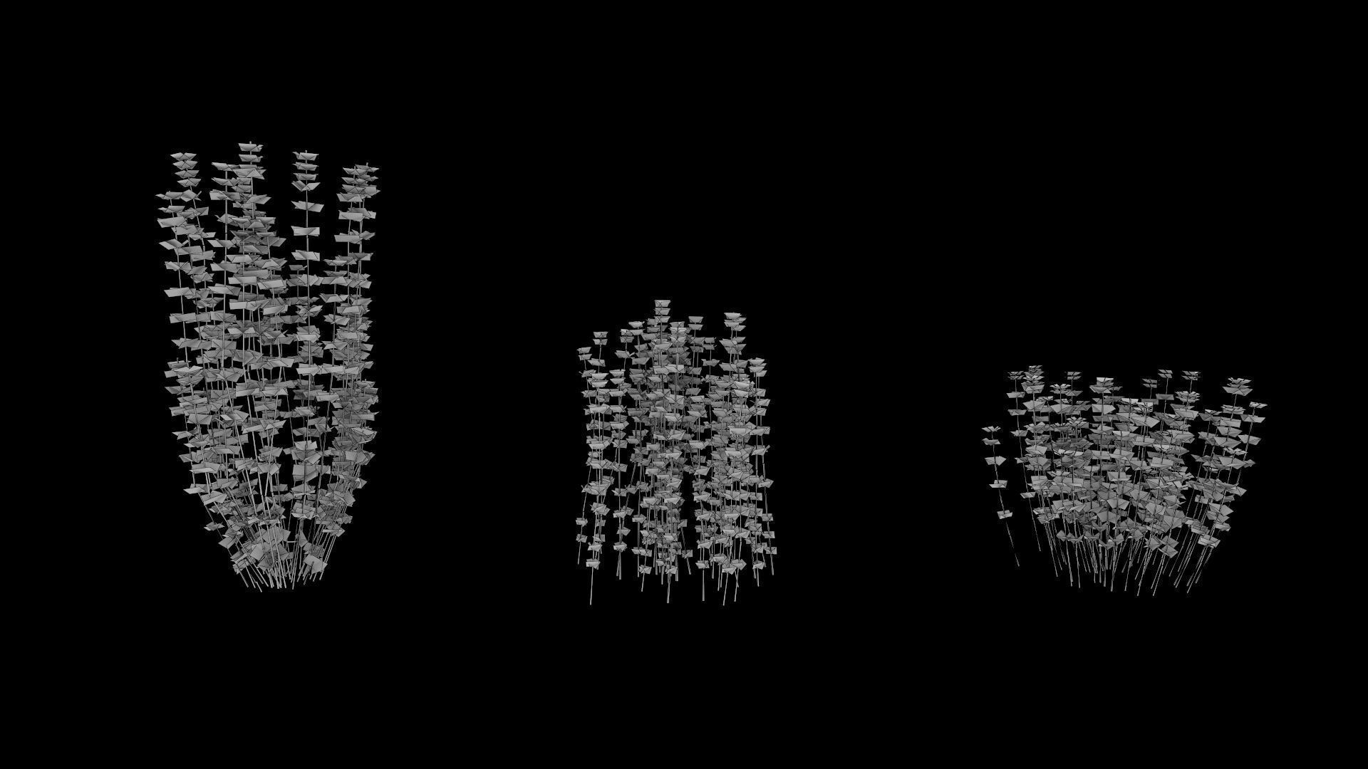 Lotus hirsutus Brimstone lod2 3D model_3