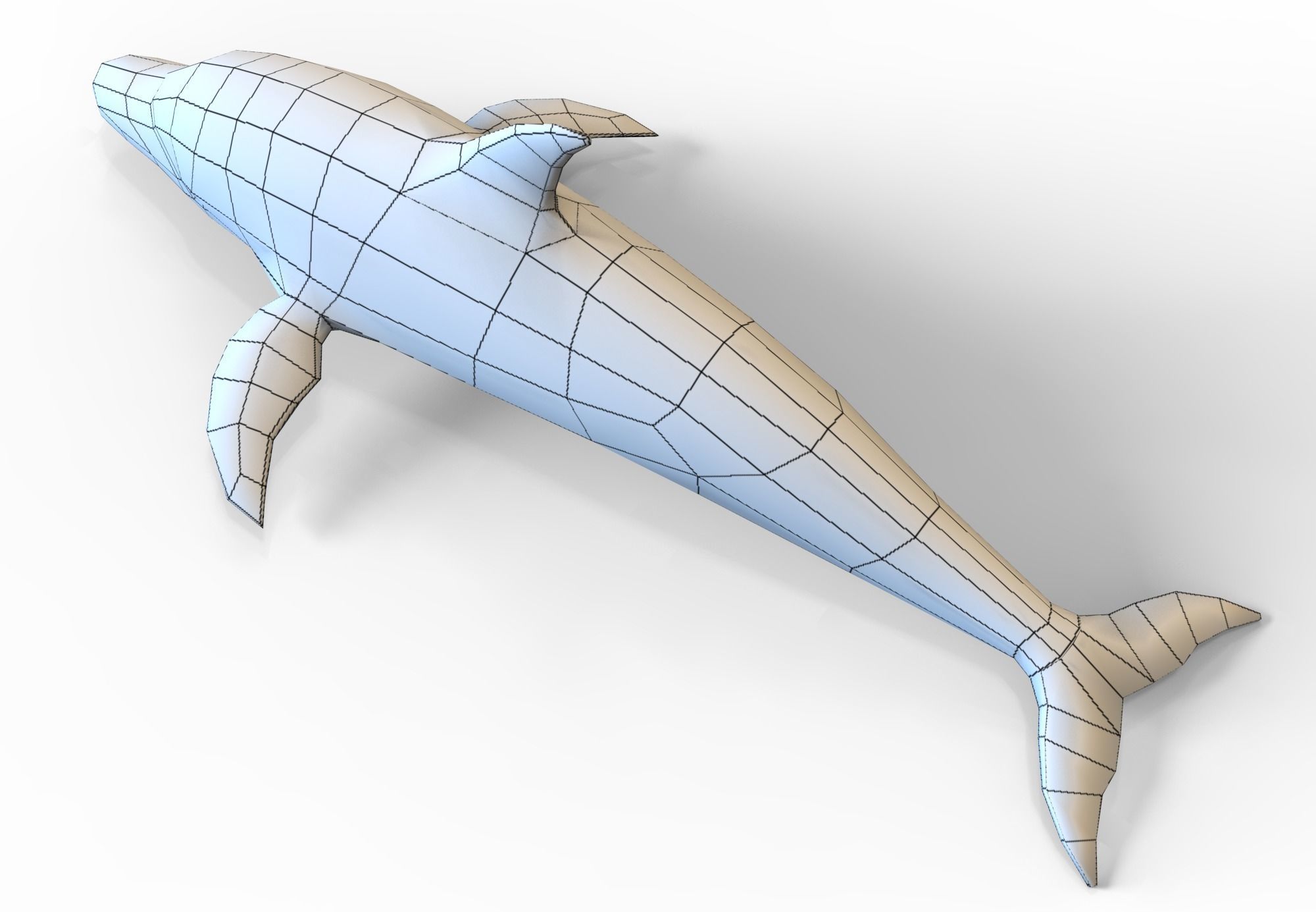 Dolphin game ready Low-poly 3D model_9