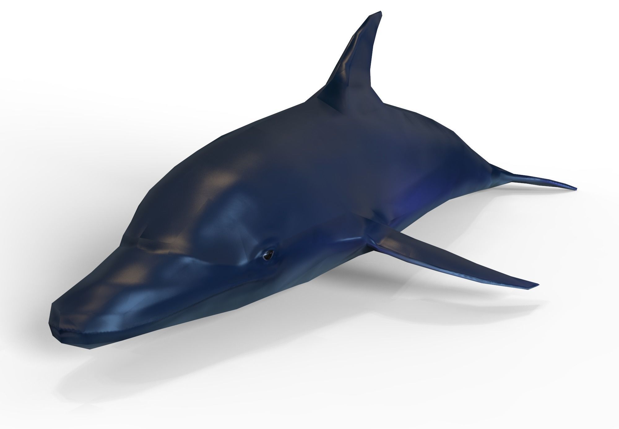 Dolphin game ready Low-poly 3D model_4
