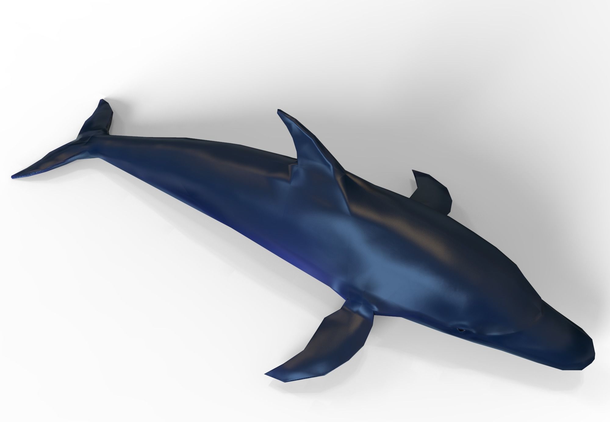 Dolphin game ready Low-poly 3D model_2