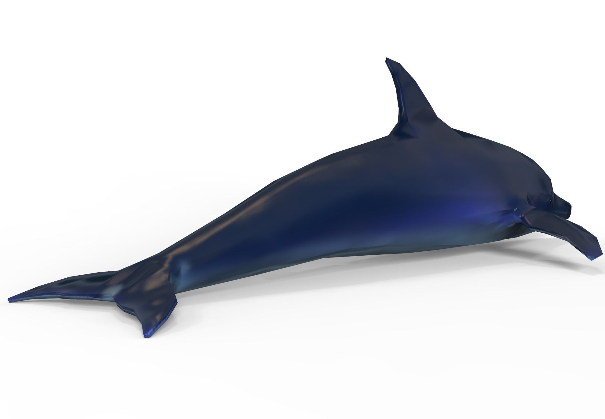 Dolphin game ready Low-poly 3D model_8