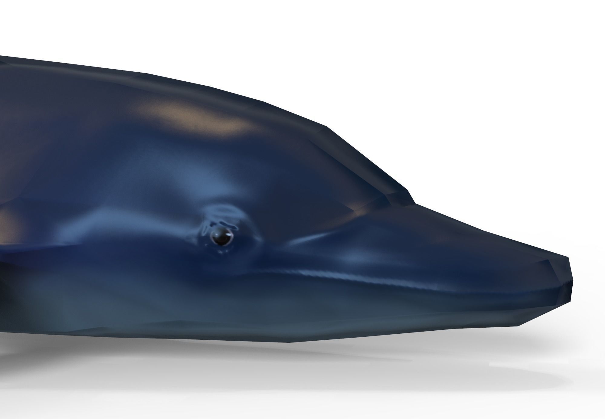 Dolphin game ready Low-poly 3D model_6