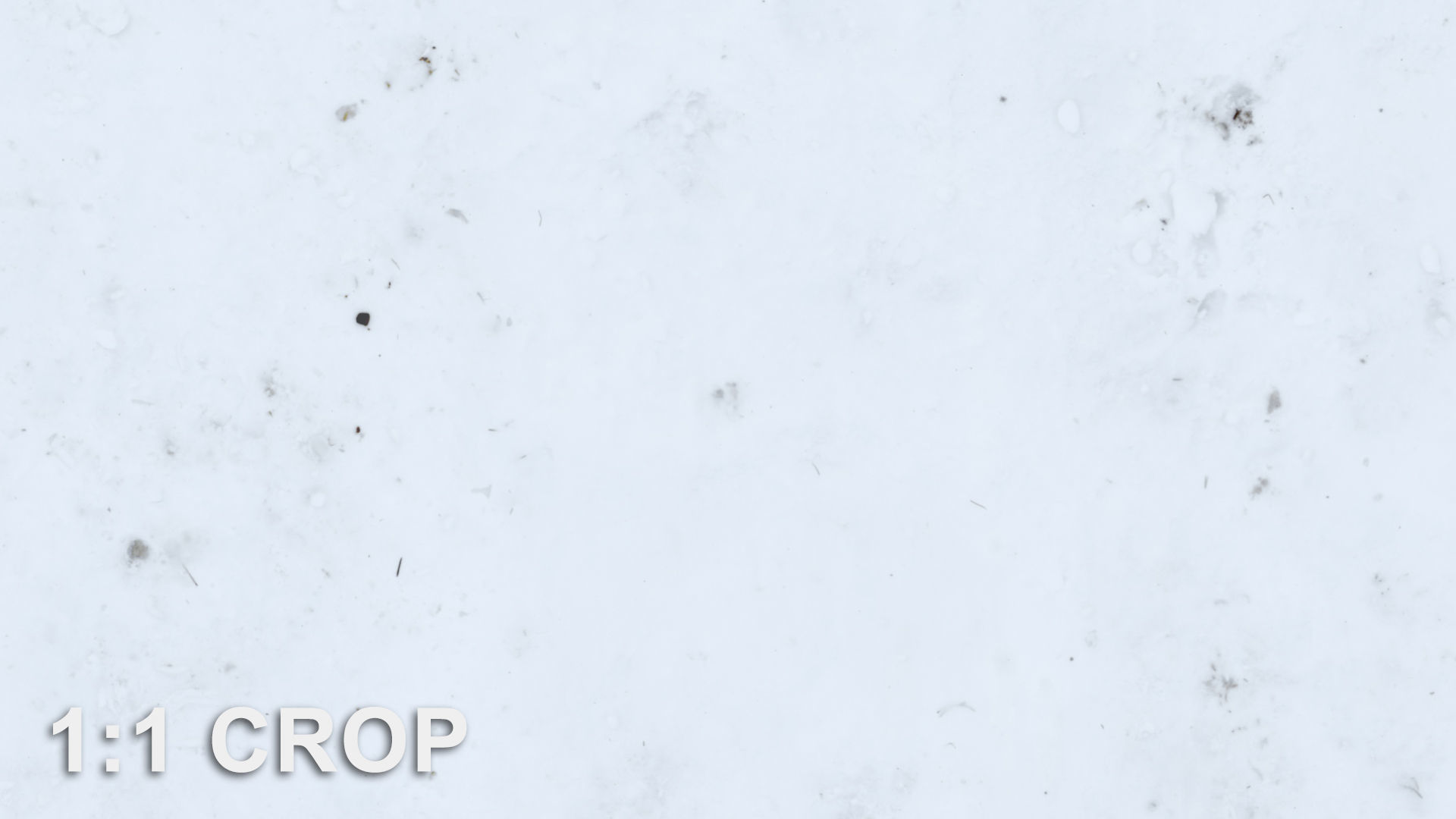 Backyard road in snow texture Texture_5