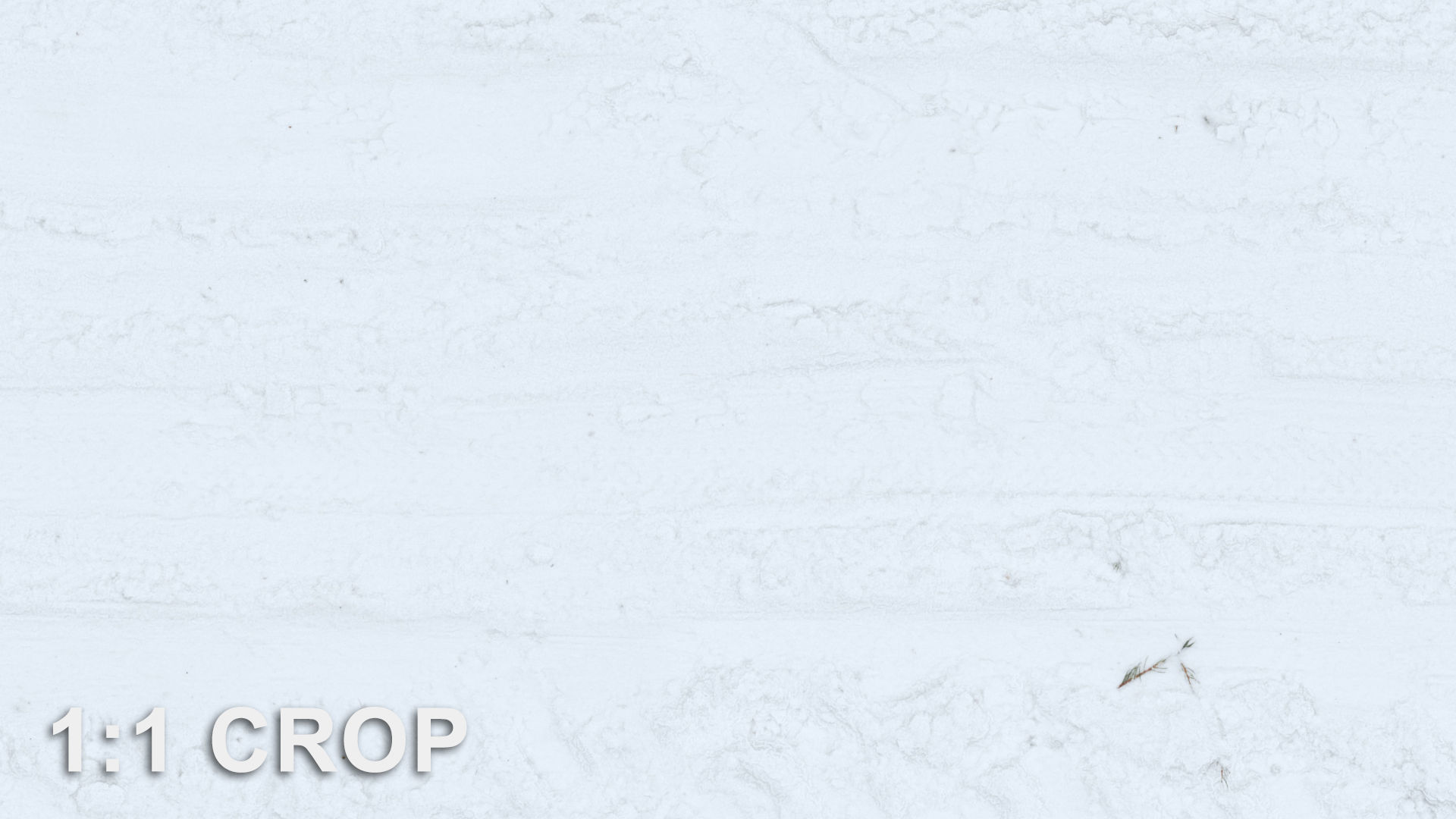 Snow Covered Road seamless texture Texture_5