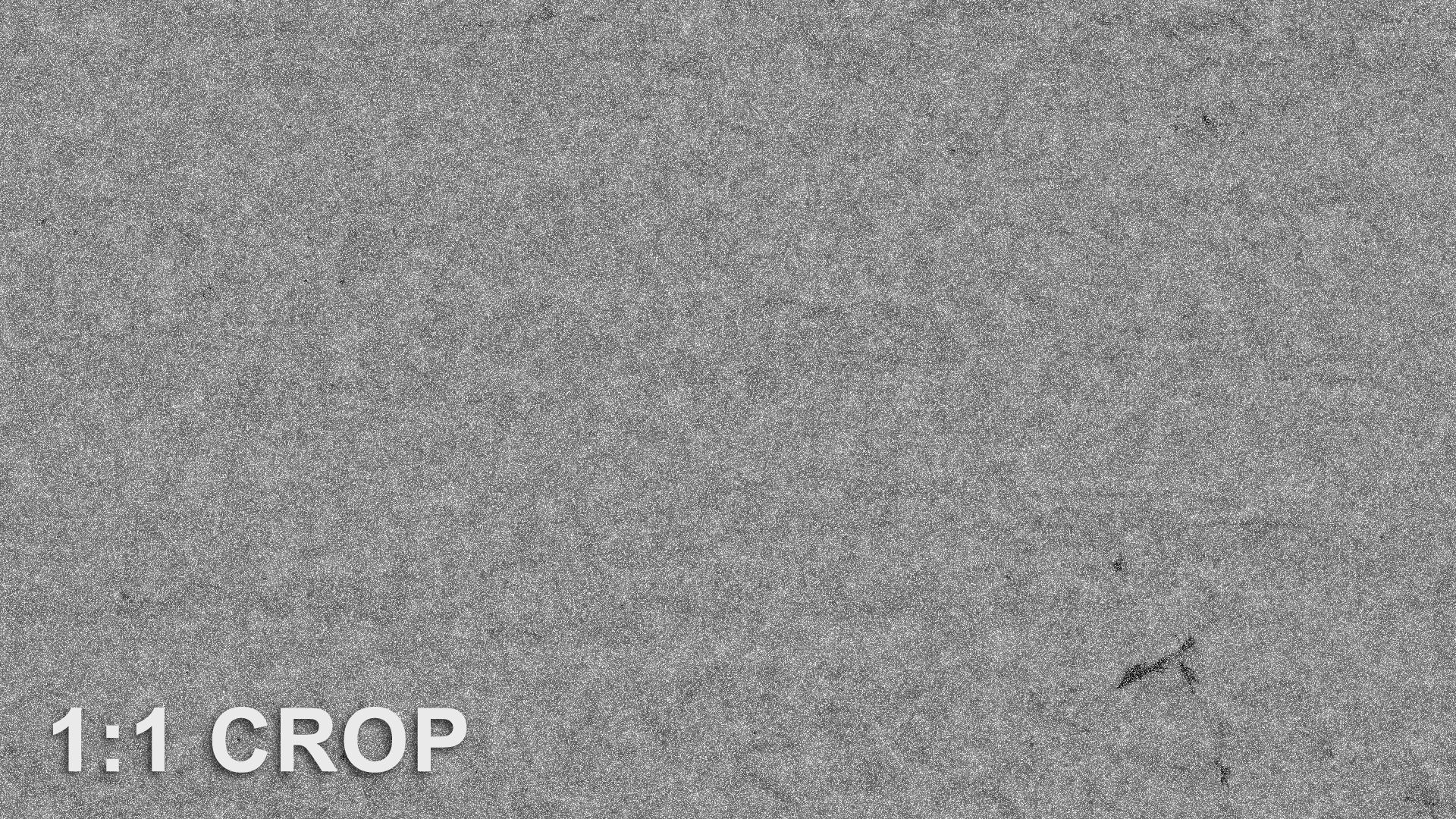 Snow Covered Road seamless texture Texture_9